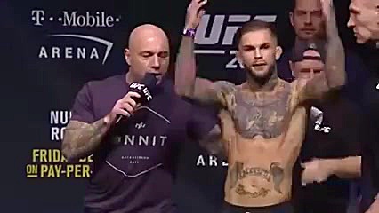 مسابقات ورزش رزمی MMA