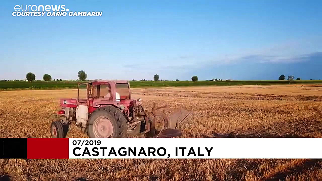 ویدئو؛ ترسیم چهره عظیم نیل آرم...