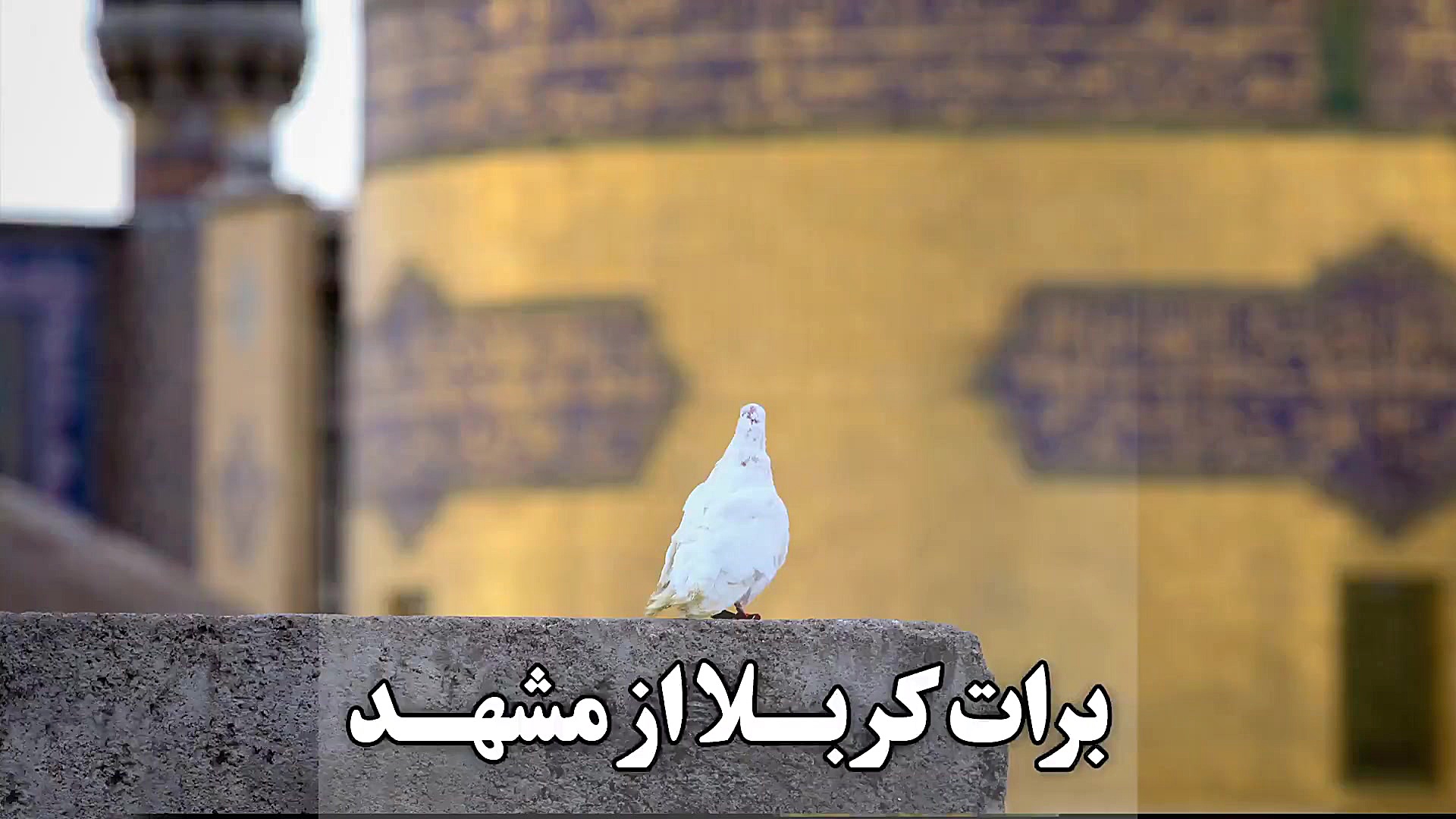 شعرخوانی بسیار زیبا در مدح علی...