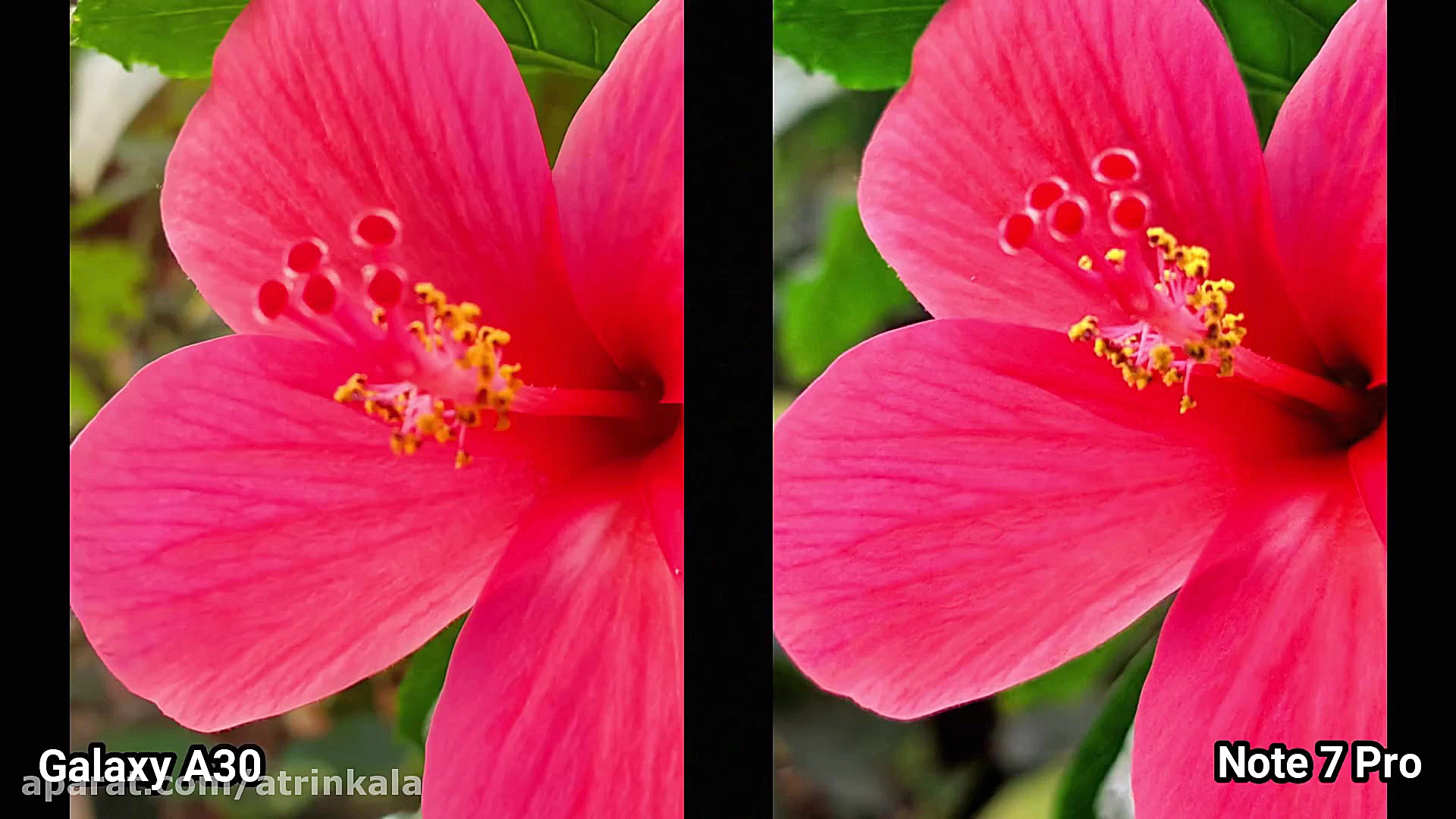 تست دوربین گوشی گلکسی A30 و شی...