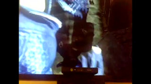 همه بازی بتمن آرکهام سیتی مرحل...