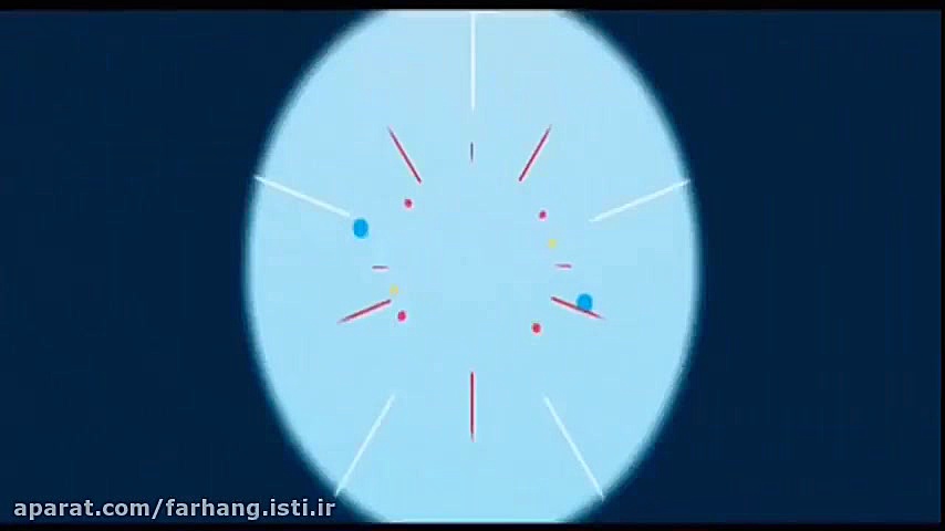 تسهیل گری در مسیر کسب و کار