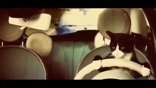 نوشیدنی Kofola