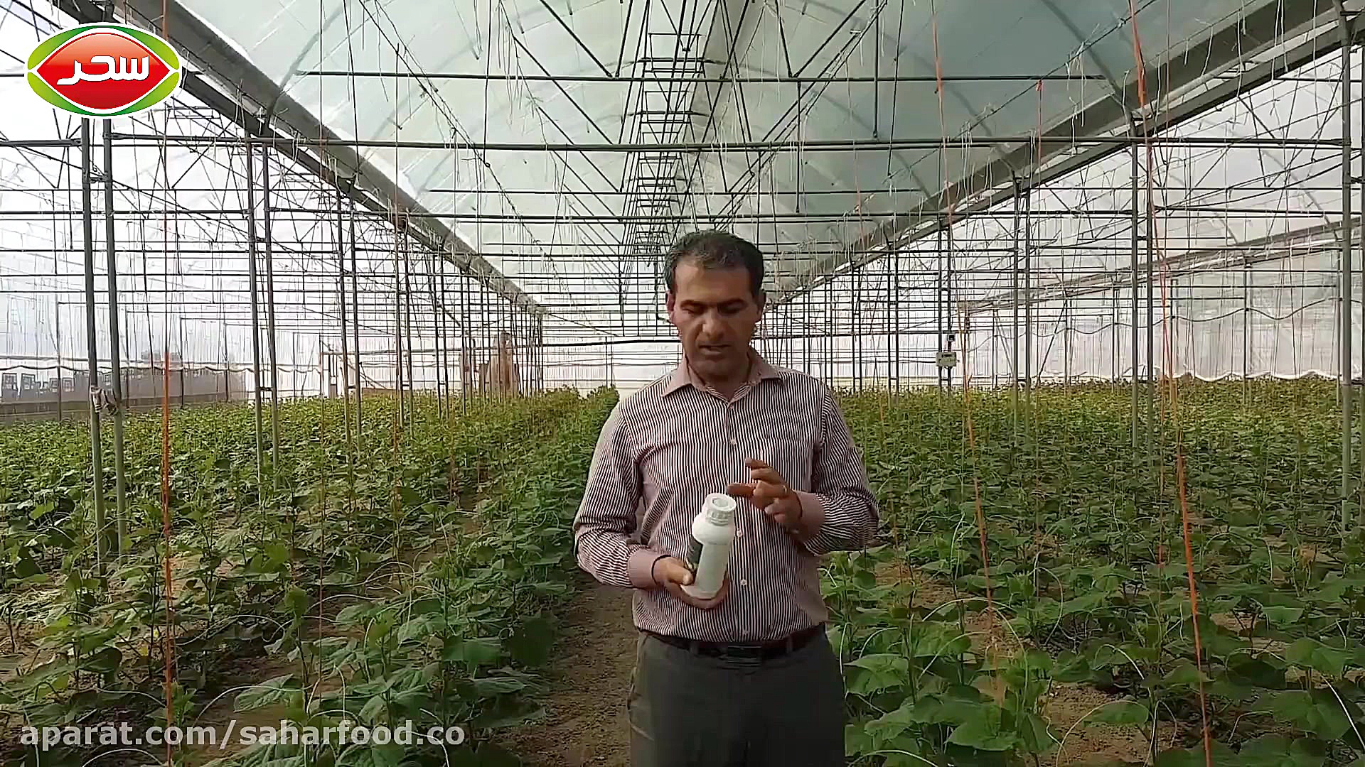 کشاورزی ارگانیک و دفع آفات بدو...