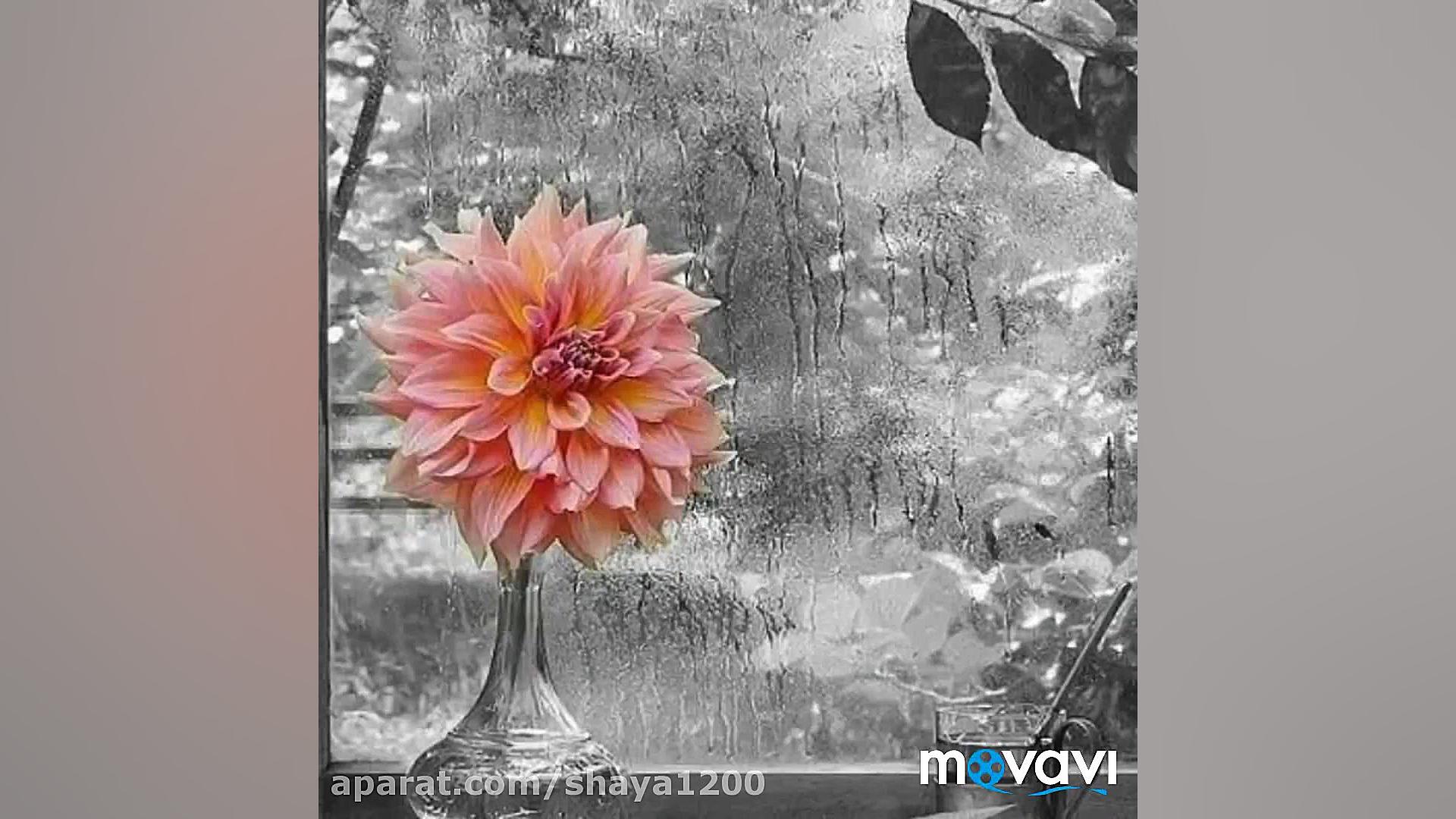 کلیپ خدا..کلیپ مناجات..خدا..کل...