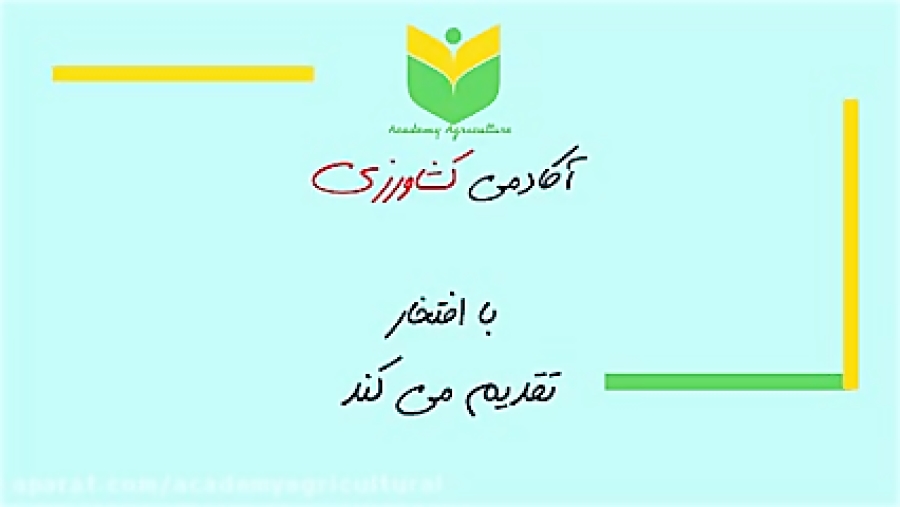 قدرت درون یک دانه