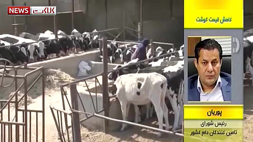 کاهش قیمت گوشت قرمز