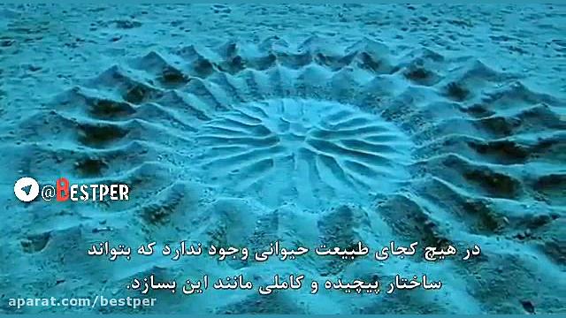 ماهی که در اعماق اقیانوس شگفتی...