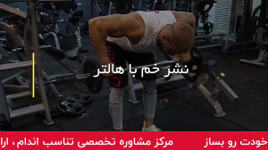 نشر خم با هالتر