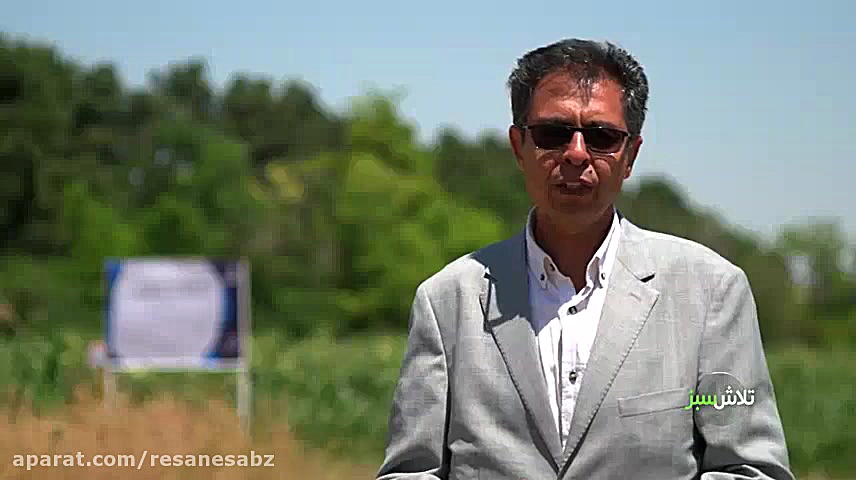 زراعت در شرایط کم آبی  تلاش سب...