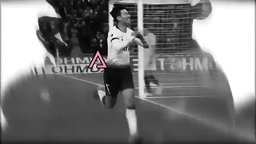 مگوایر و لیندلوف، زوج دفاعی فص...