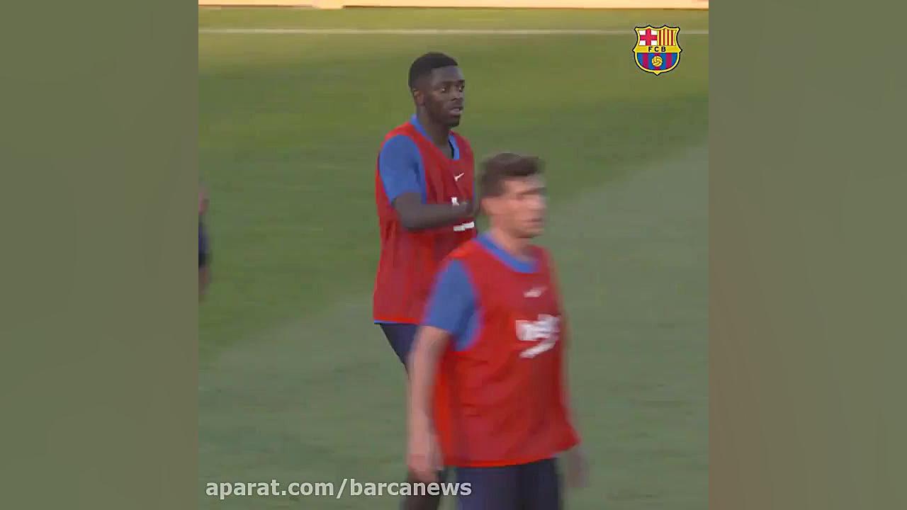 گل انفرادی زیبای دمبله در تمری...