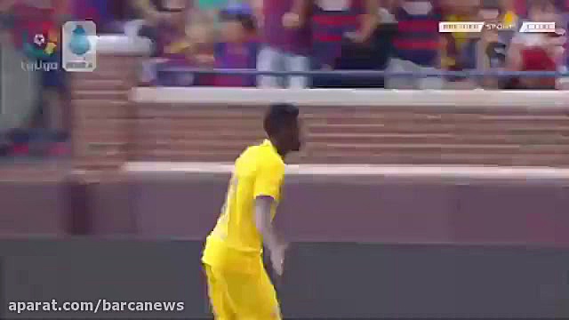 گل زیبای دمبله به ناپولی ( 20...