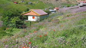 جاده ای که به بهشت می رود