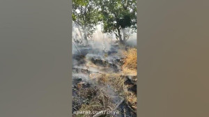 آتشسوزی جنگل های روستای کولیت...