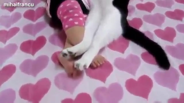 Cats, Dogs ang babies