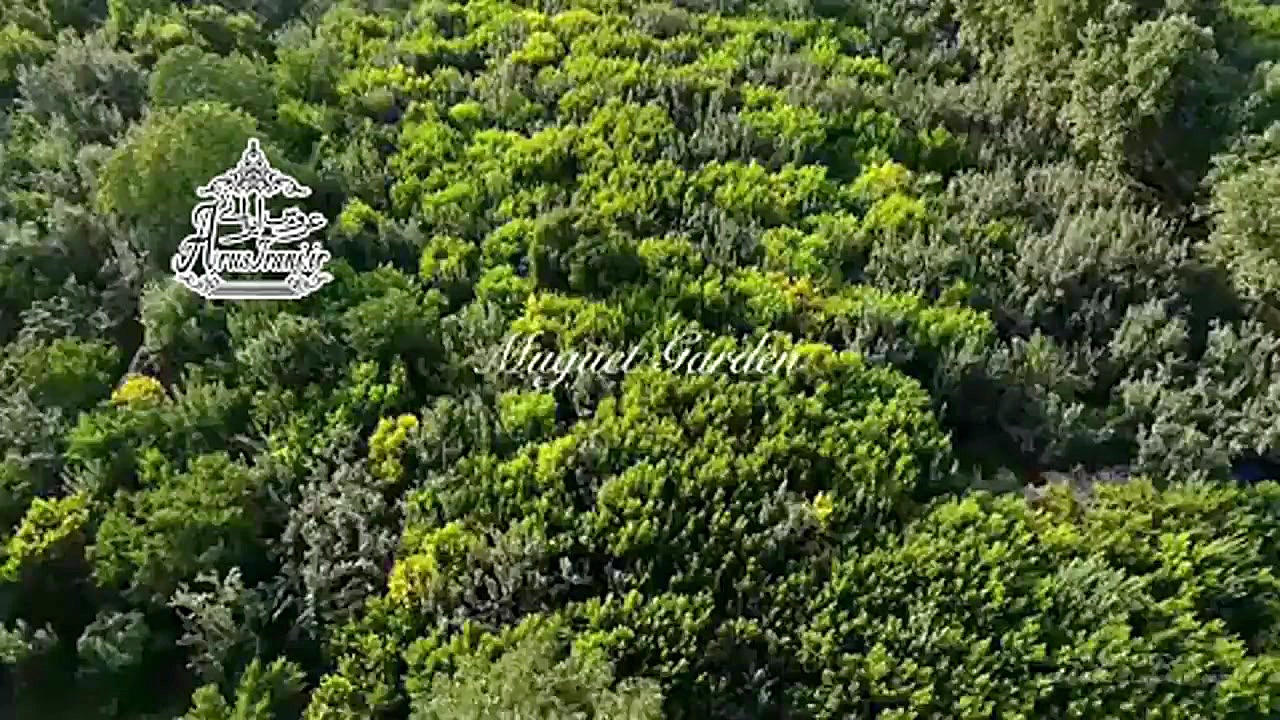 فیلم باغ تالار موگه