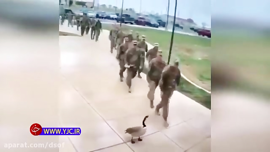 وقتی یک غاز نیروهای ویژه آمریک...