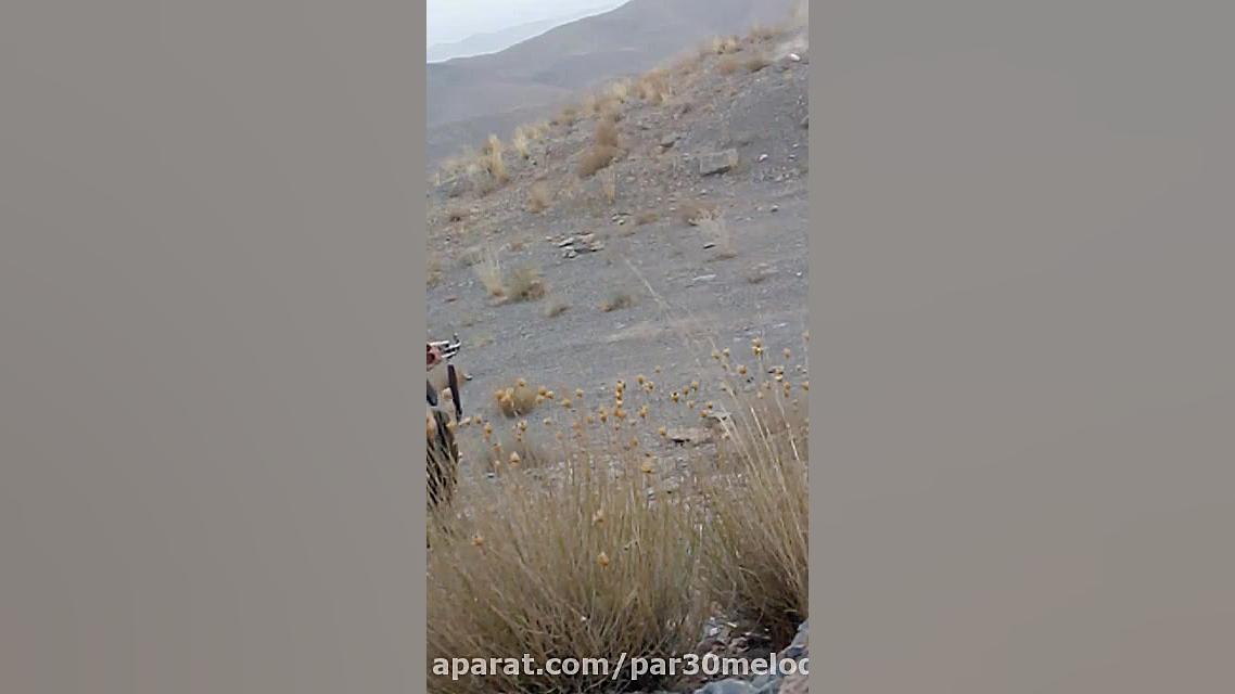 تمرین تیر اندازی دقیق هدف