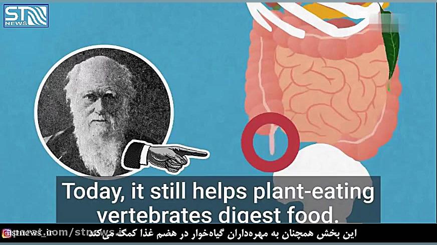 5قسمت از بدن که بیکارند