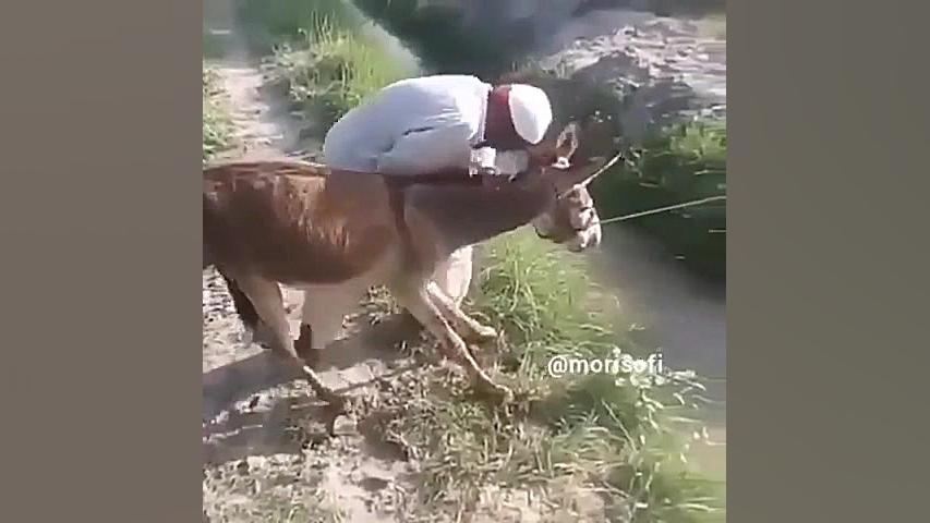 فلم خیلی خنده دار