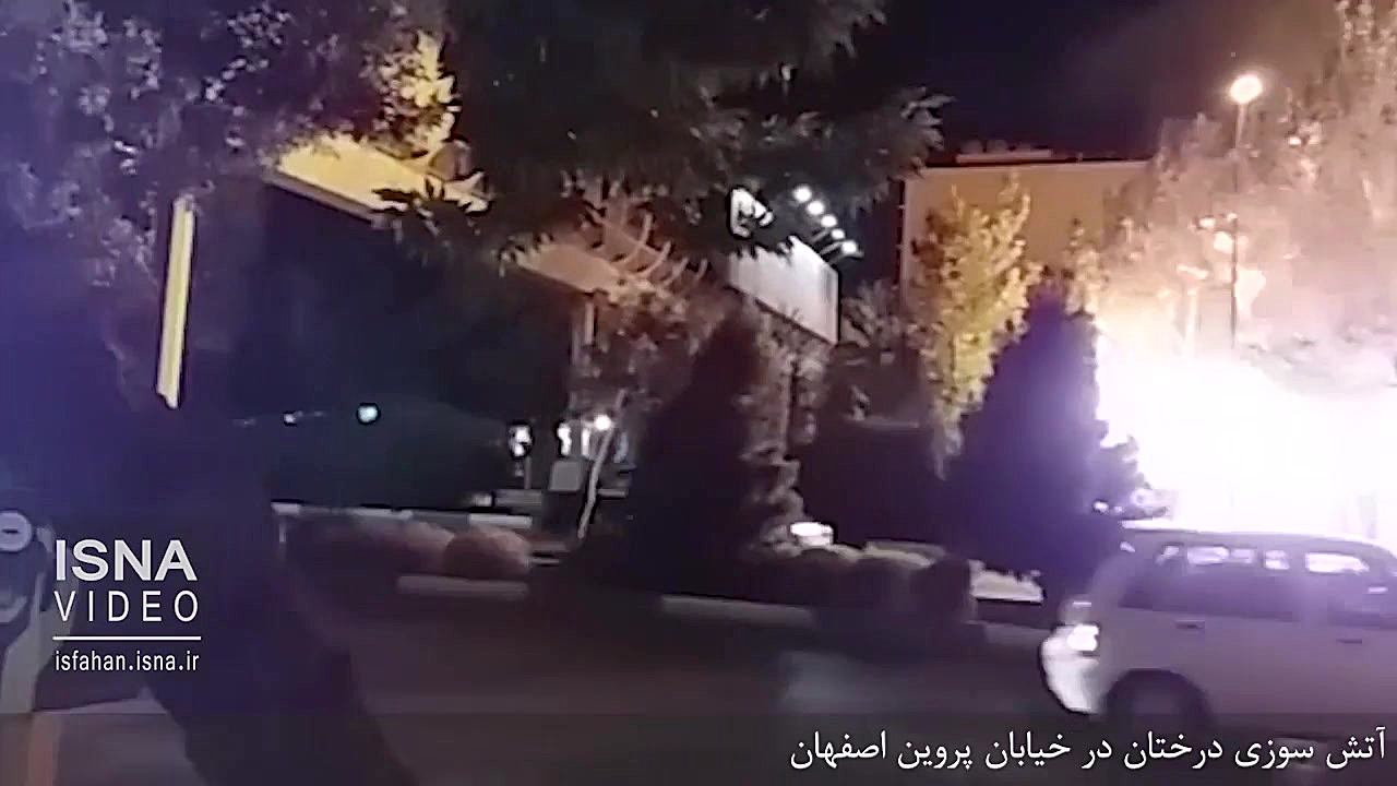 آتش سوزی درختان در خیابان پروی...