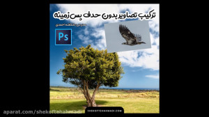 how to manipulate bird and tre...