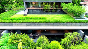 روف گاردن  بیلدینگ پلاس