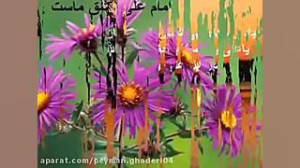 سروده زیبا در مدح امیر المؤمنی...
