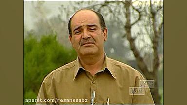 هرس درختان میوه (1)  تلاش سبز