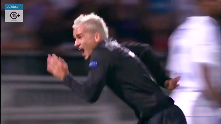 شباهت عجیب گل قیچی برگردان آدو...