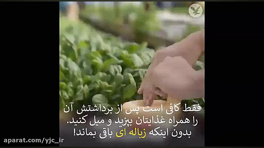 پلاستیک خوردنی به بازار آمد!