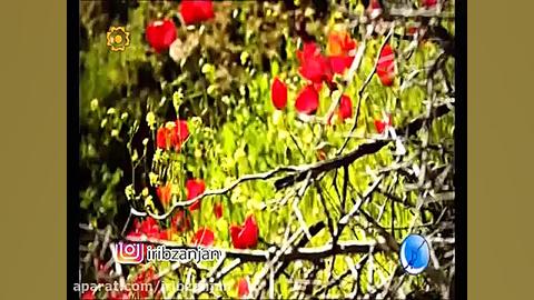 ای گولوم هچ بیلیرسن نجه سن سیز...