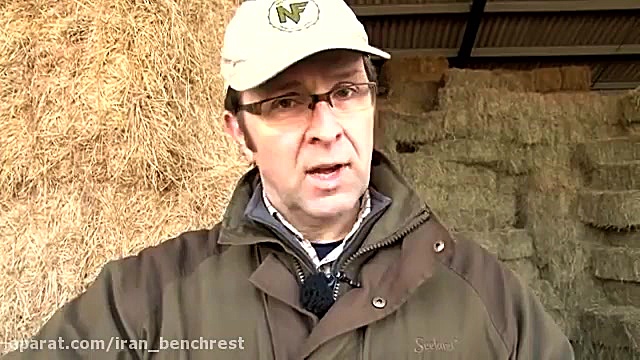 ایمنی تفنگ بادی فنری