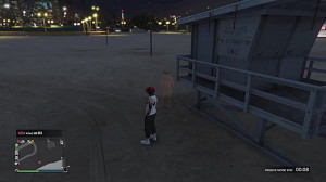 وحشت
