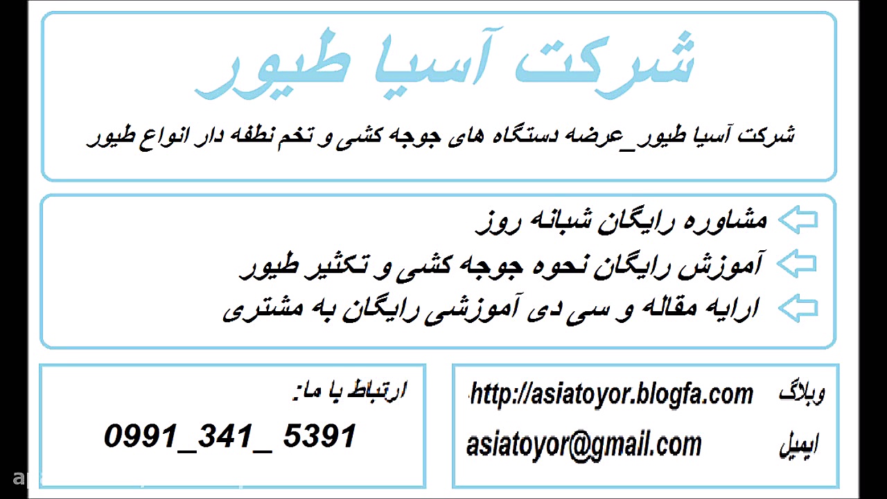 فروش تخم نطفه دار بوقلمون محلی...