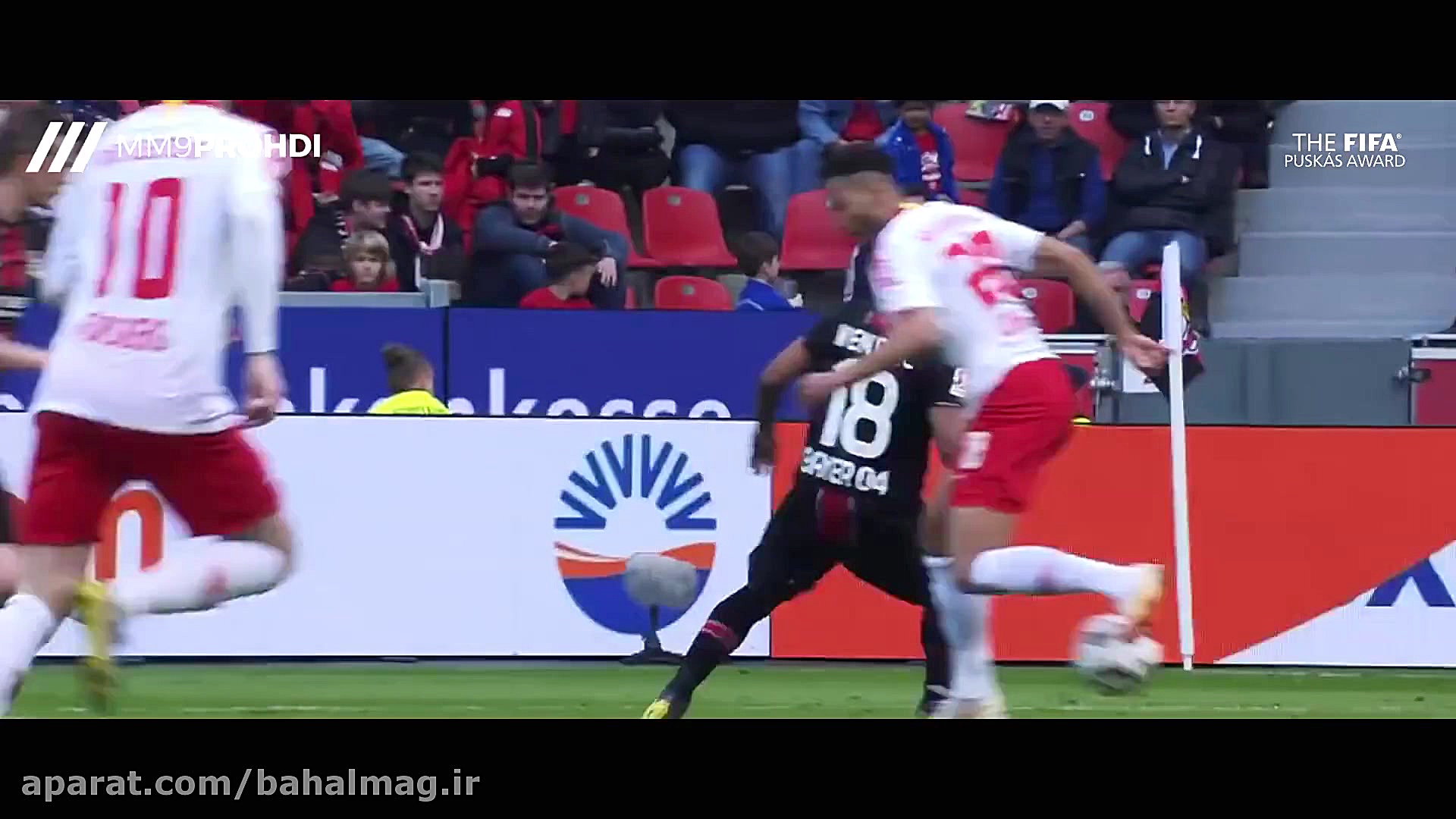 نامزدهای جایزه پوشکاش 2019