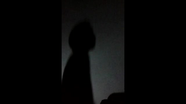 بیگانه در حلی5؟؟!