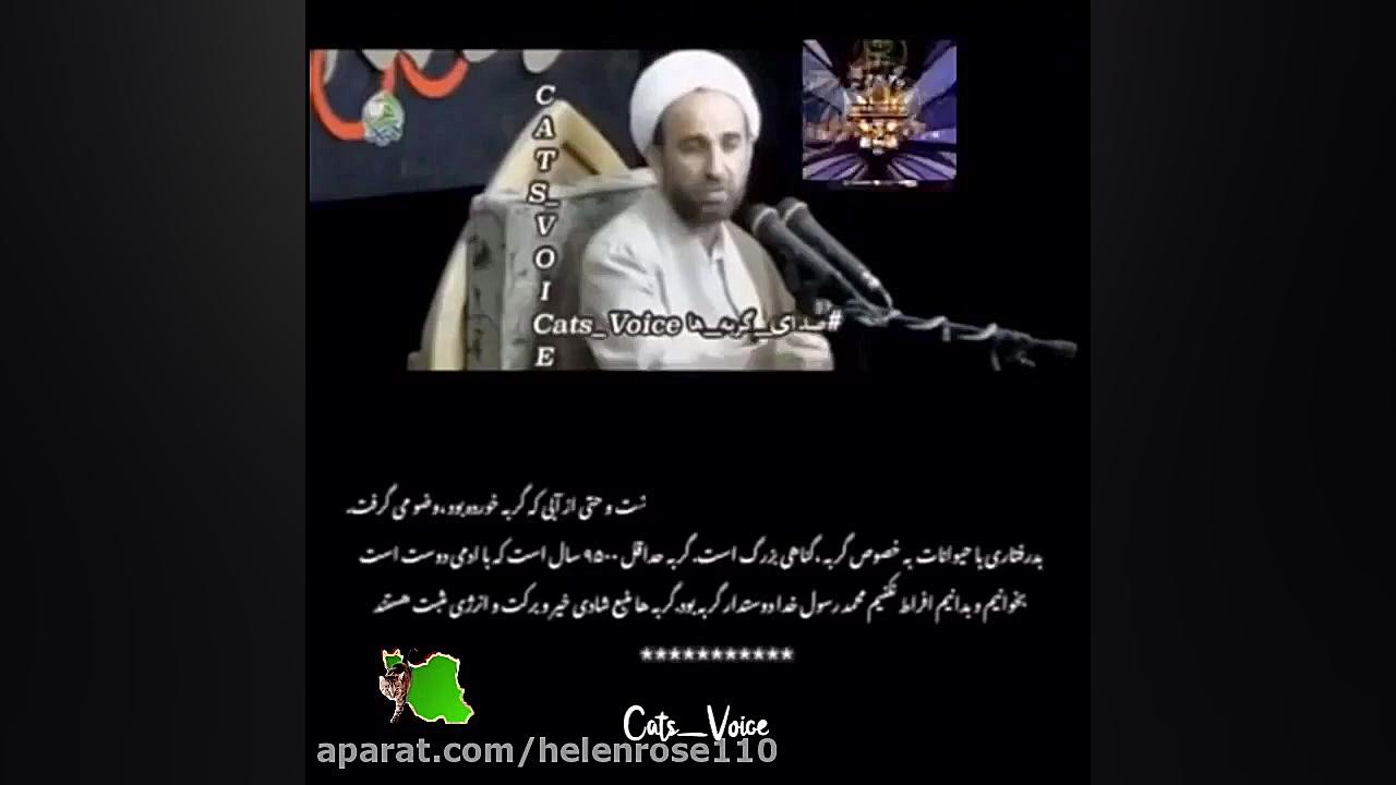 حقوق حيوانات در اسلام