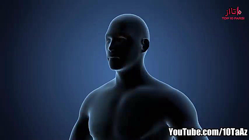 ۱۰ آمار از عجیب و غریب ترین مر...