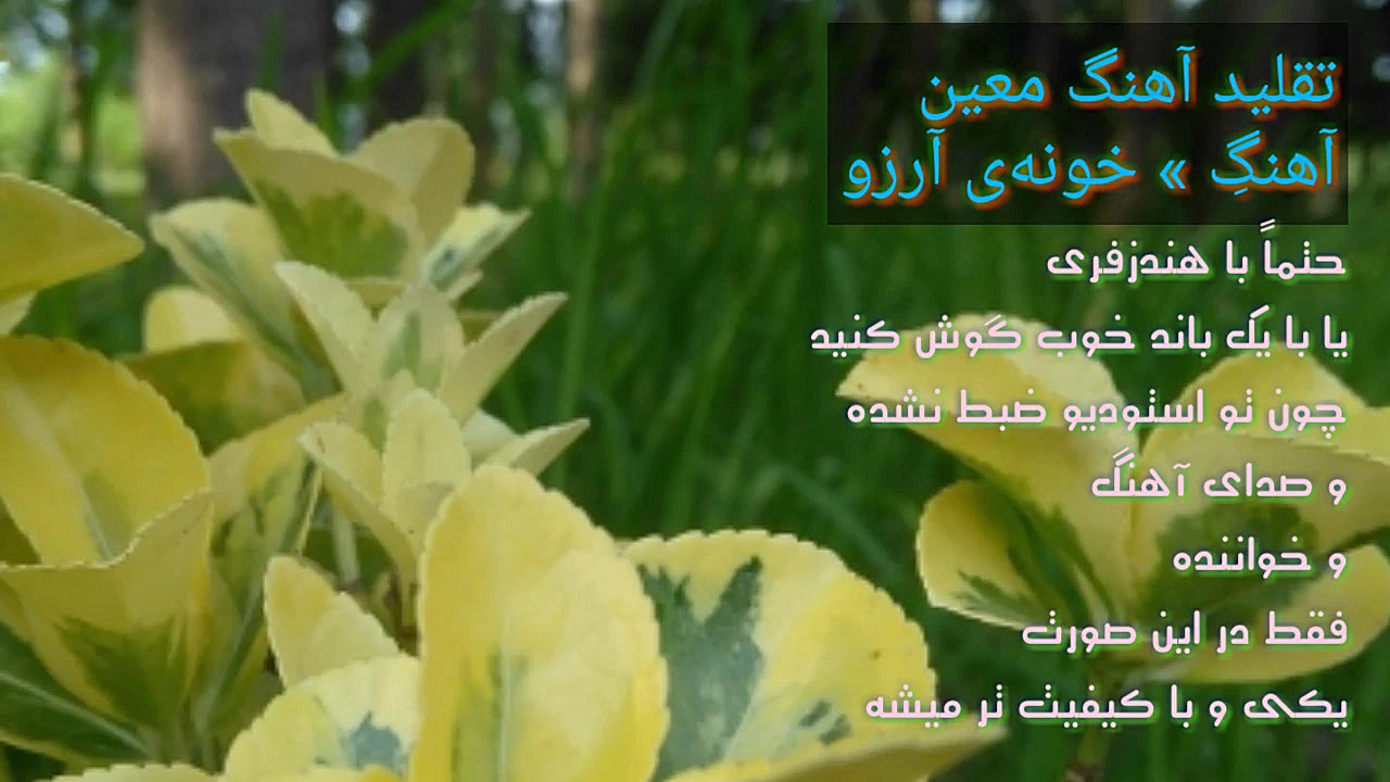 تقلید آهنگ معین  خونه ی آرزو (...