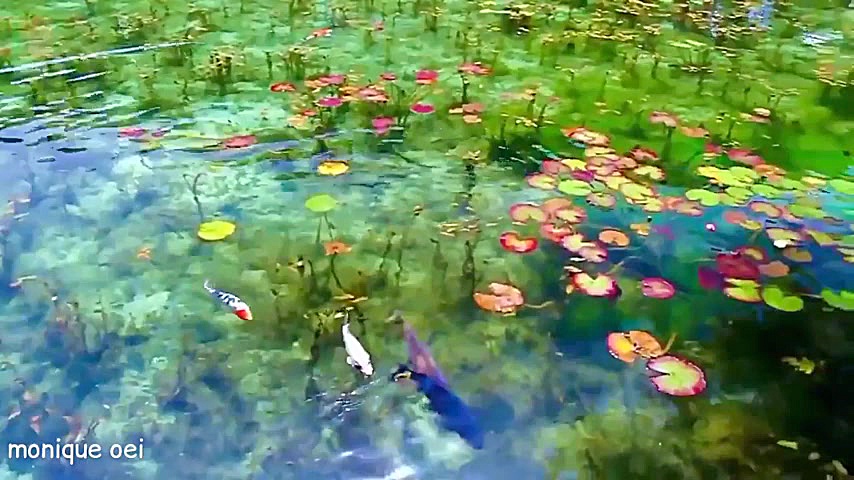 دریاچه ای که شبیه تابلوی نقاشی...