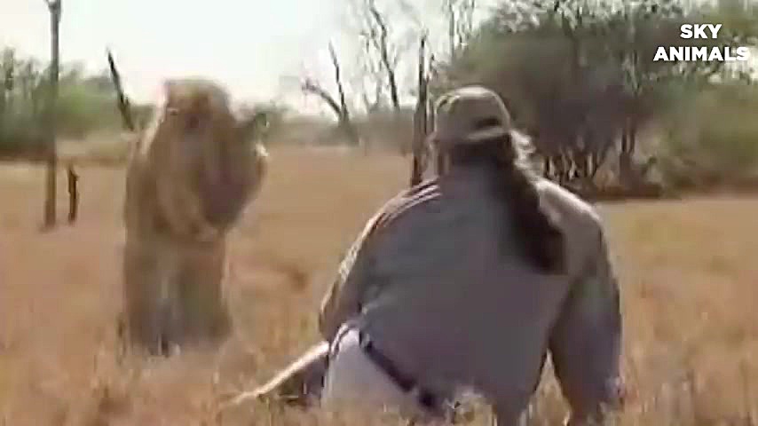 حمله وحشتناک حیوانات وحشی و مب...