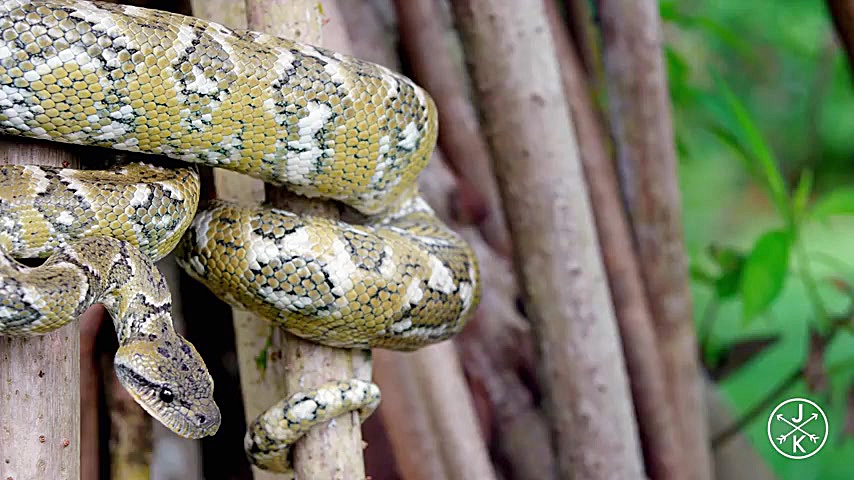 COSTA RICA IN 4K 60fps HDR (UL...