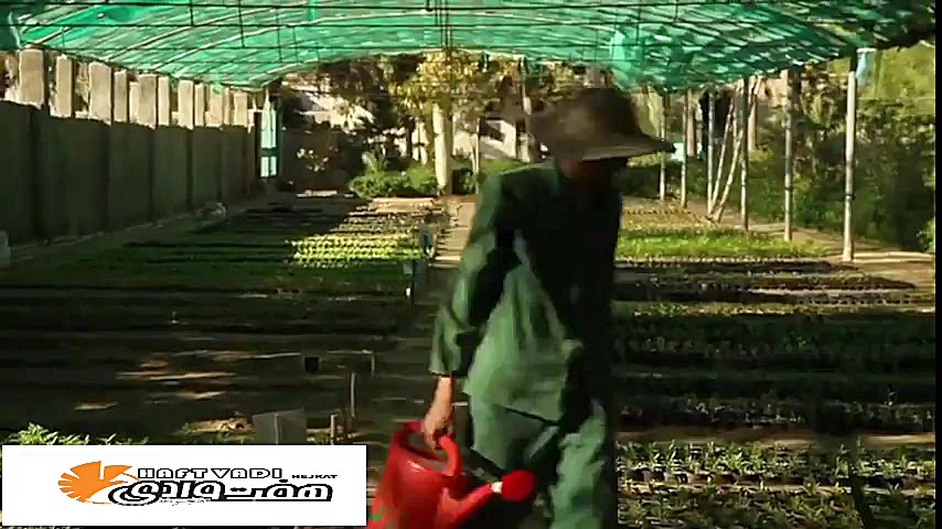 طبیعت زیبای چابهار