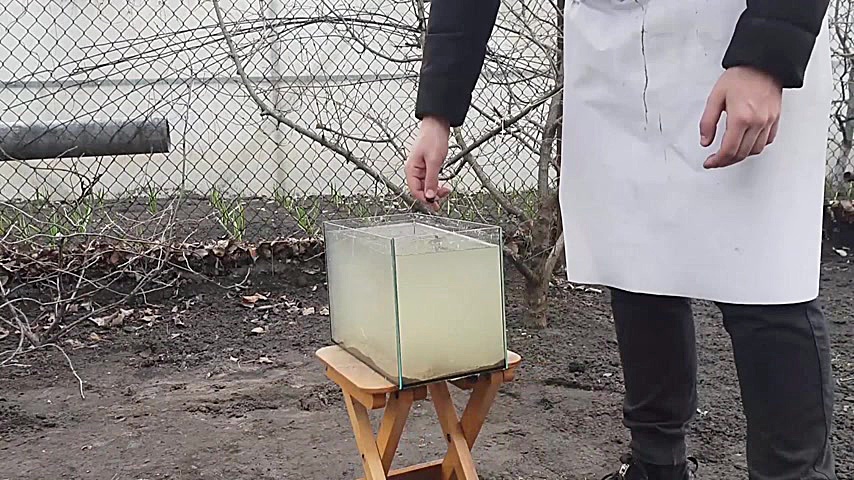 10 آزمایش احمقانه !!!!!!!!!!