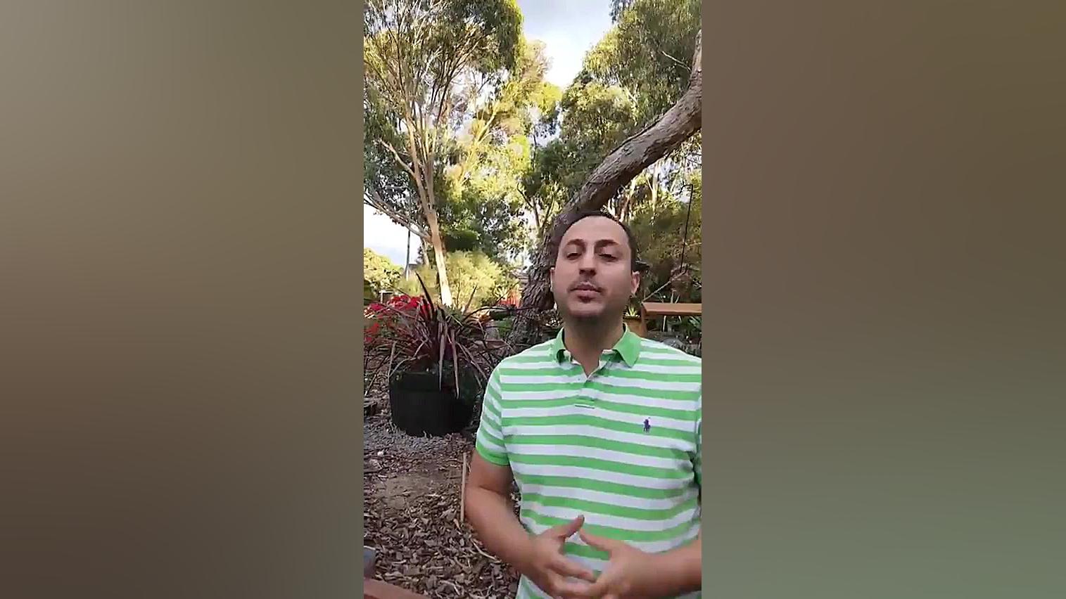 برنامه درسی رایتینگ آیلتس