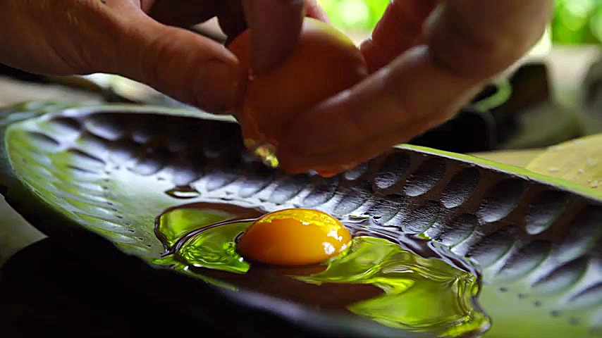 آشپزی در طبیعت : املت اموریچ (...