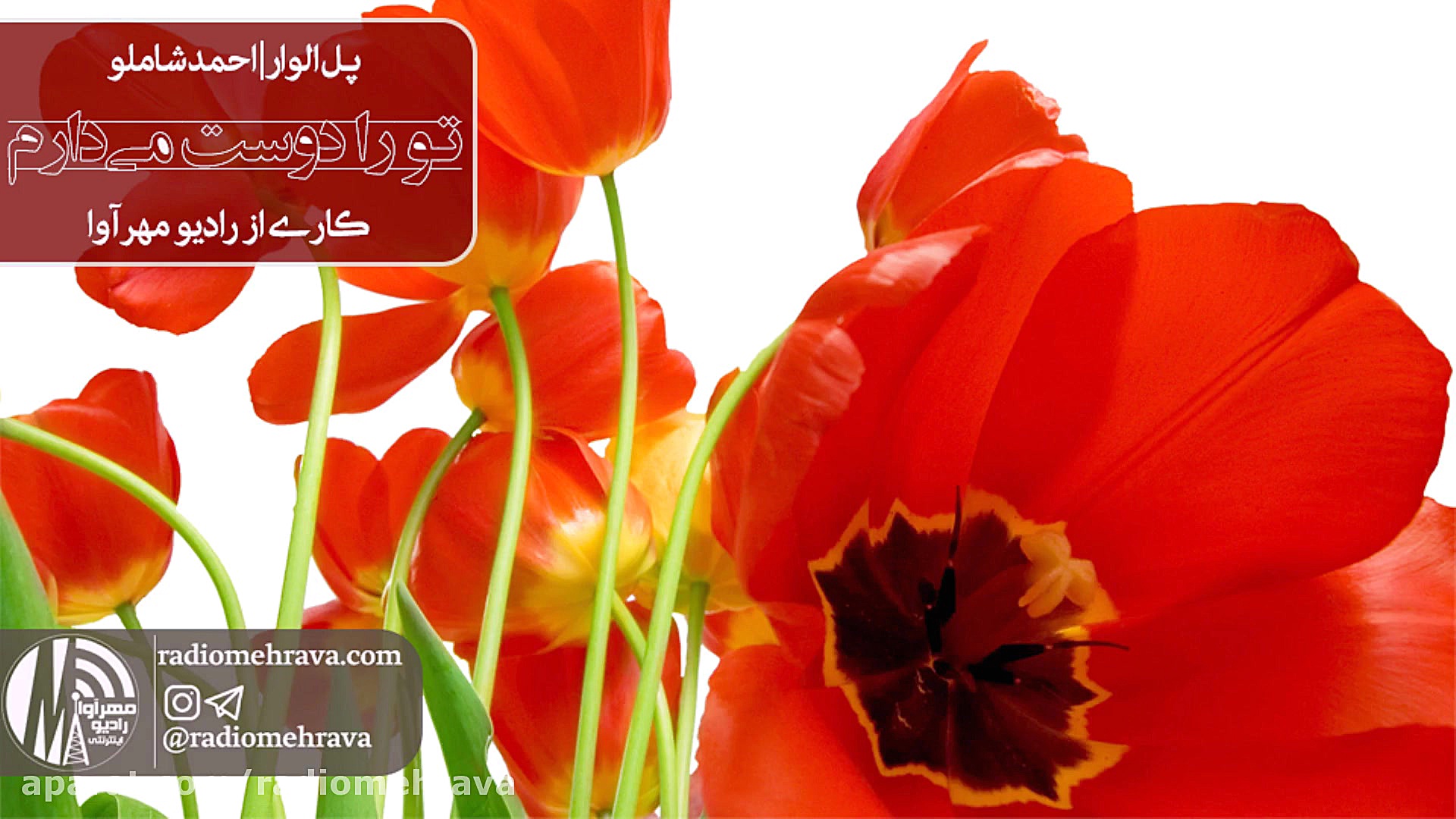 رادیو مهرآوا: تو را دوست می دا...