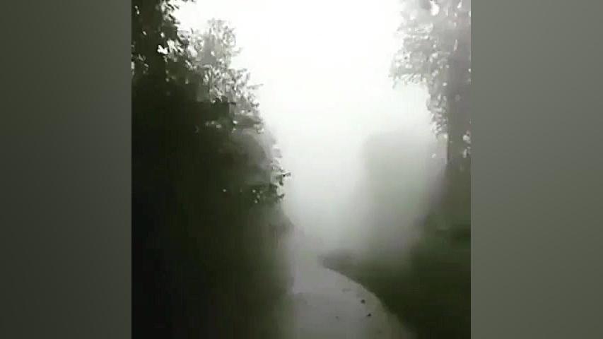 برای شما آرامش را آرزومندیم